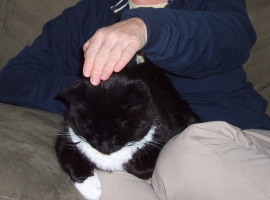 Murphy responds to Reiki