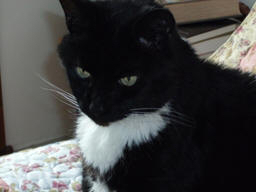 When Illness Hits Home